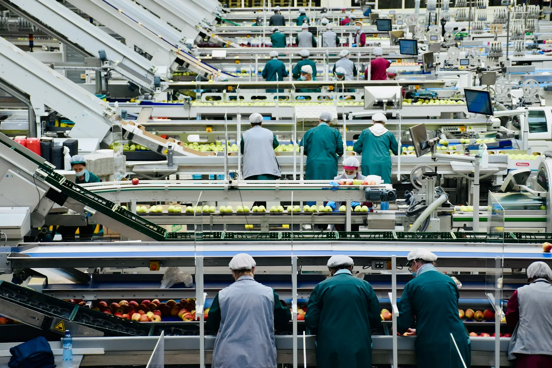 A packing hall like this is a row of machines from different builders. The vendor mix, more than any one machine, is what makes it hard to know which program is running. Workers in hairnets sorting apples along long multi-lane conveyor and packing lines