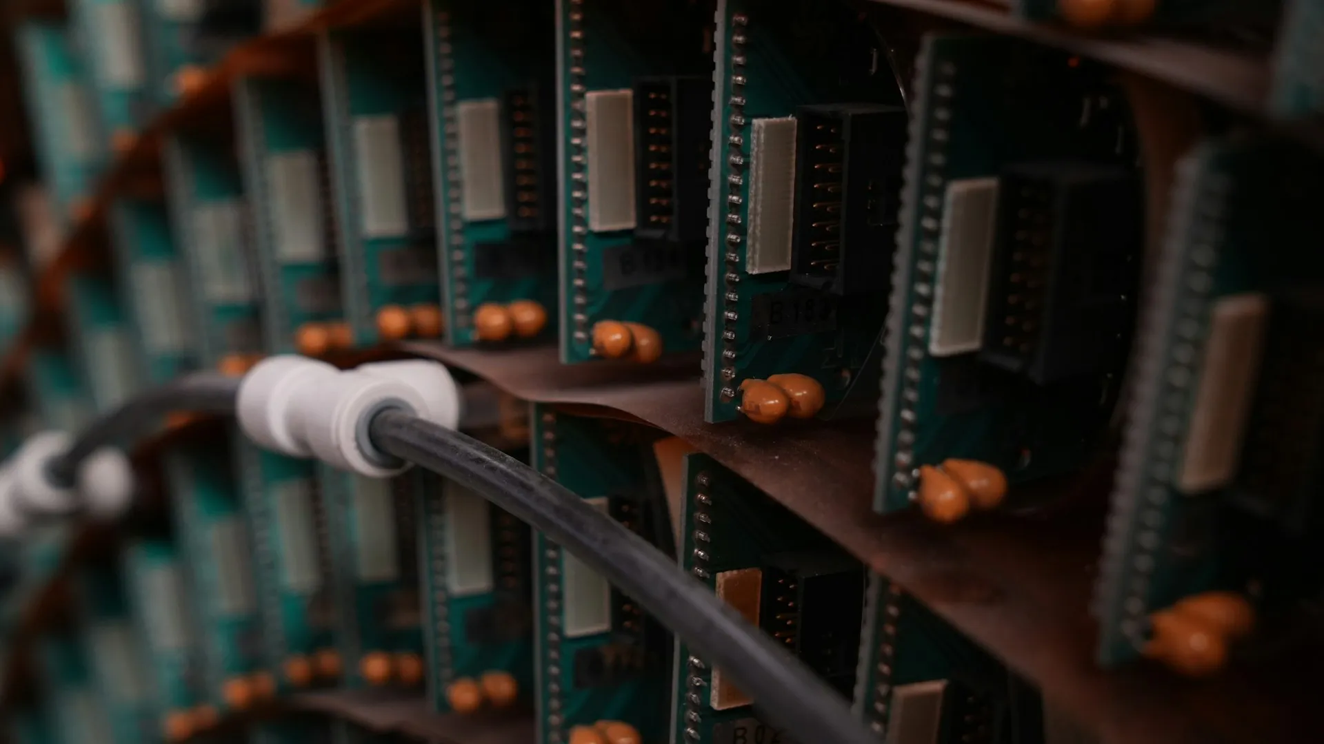 Close-up of rows of green circuit cards mounted side by side with a cable running past